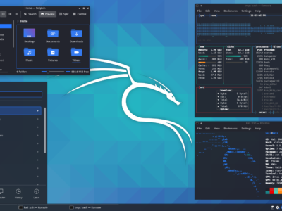 Kali Linux: guida in italiano e penetration test
